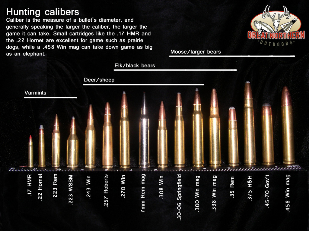 Great Northern Outdoors Bullet Comparison