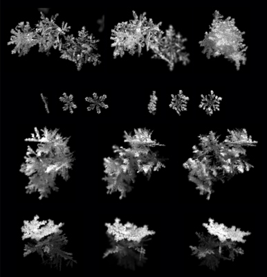 2013-04-17 Snowflakes
