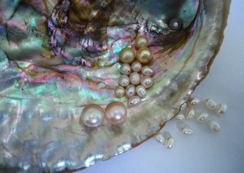 Shell and Pearls. Photo by Mauro Cateb. CC SA.